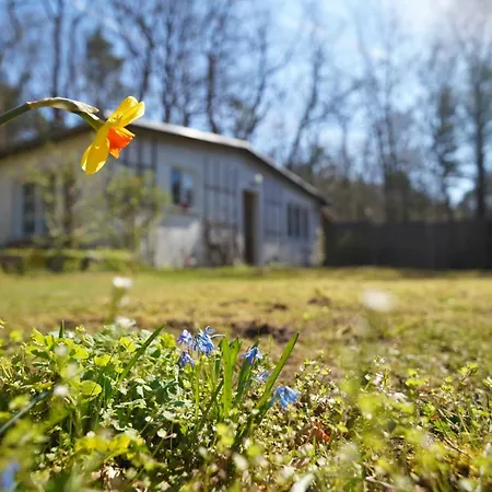 펜션 Gartenhaus In Potsdam Wilhelmshorst 미쉔도르프
